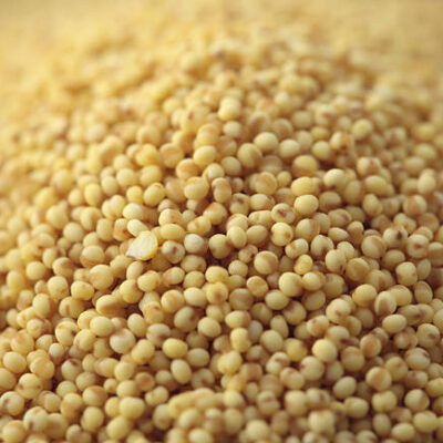 Organic Foxtail Millet <br/> 500gms <br/><br/>